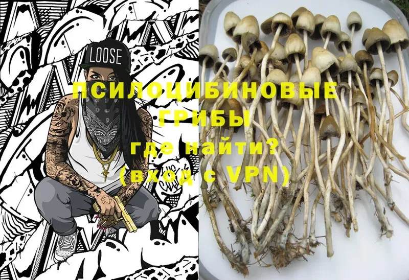 купить наркотики сайты  Орёл  Галлюциногенные грибы MAGIC MUSHROOMS 